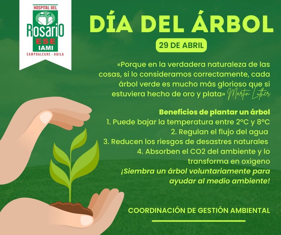 DIA DEL ARBOL